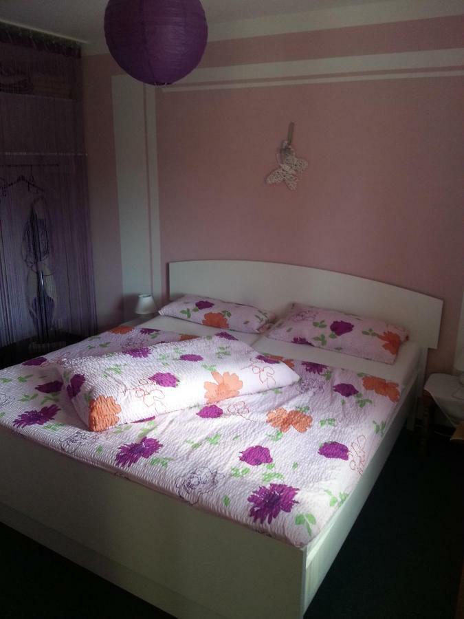 Ferienwohnung Ritter Schmiedefeld am Rennsteig Ngoại thất bức ảnh